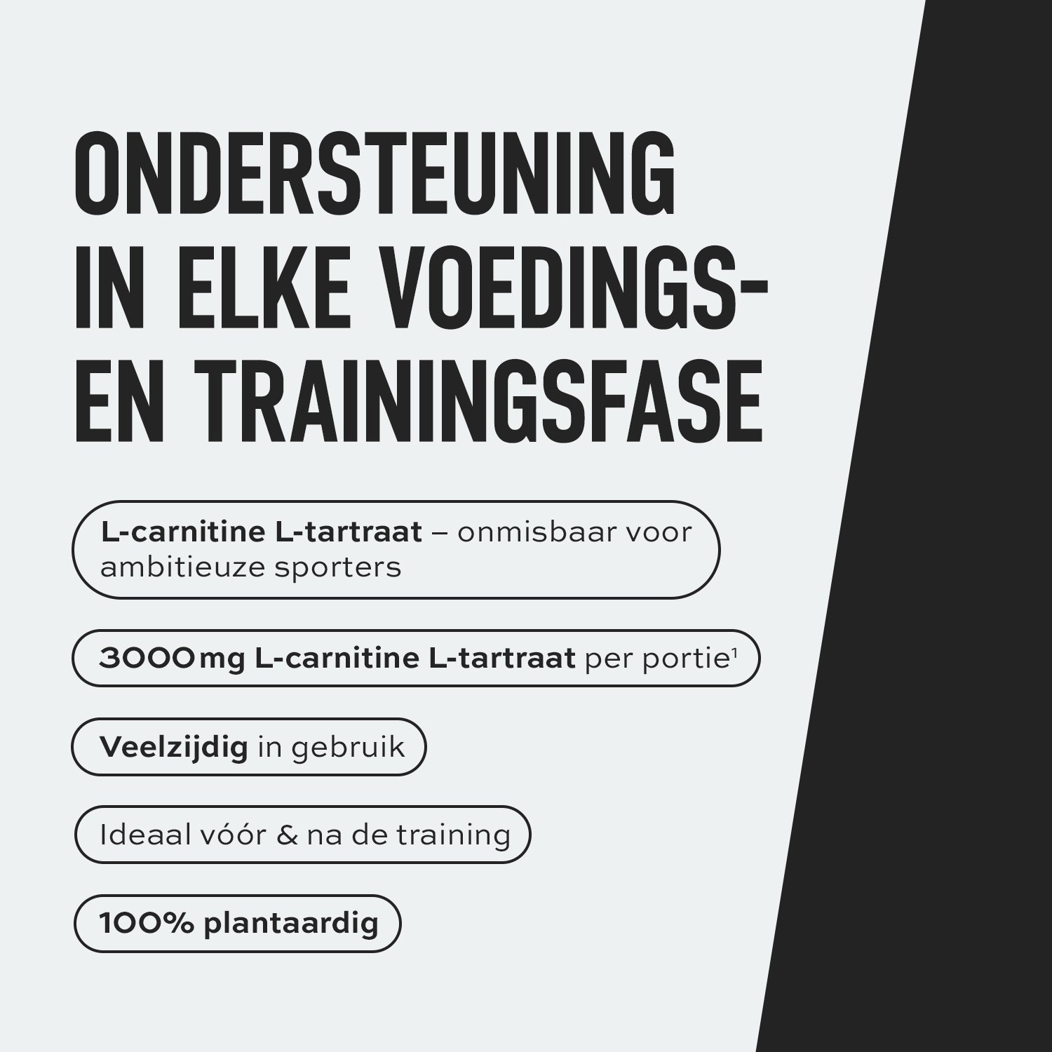 PDP_Keyfacts_L_Carnitin_DE.jpg